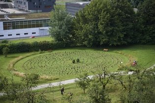Villars-sur-Glâne: L’agneau mort au domaine Notre-Dame de la Route victime d’un animal